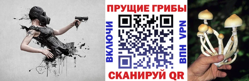 ОМГ ОМГ маркетплейс  Дальнегорск  Псилоцибиновые грибы Cubensis 