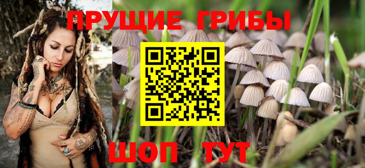 Псилоцибиновые грибы MAGIC MUSHROOMS Дальнегорск