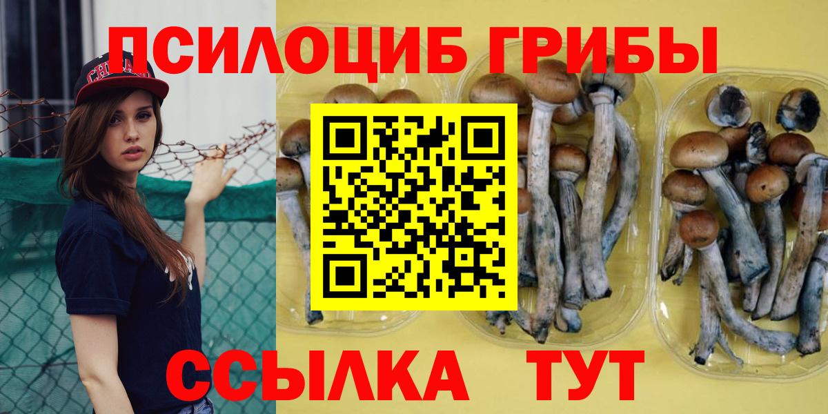 Дальнегорск  Галлюциногенные грибы Psilocybe  Галлюциногенные грибы GOLDEN TEACHER  Вход с VPN 