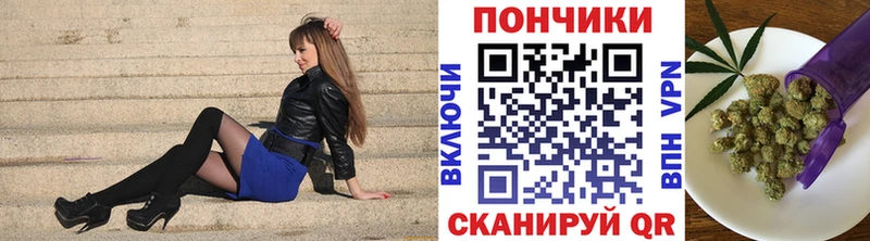 что такое   Дальнегорск  Бошки Шишки план 