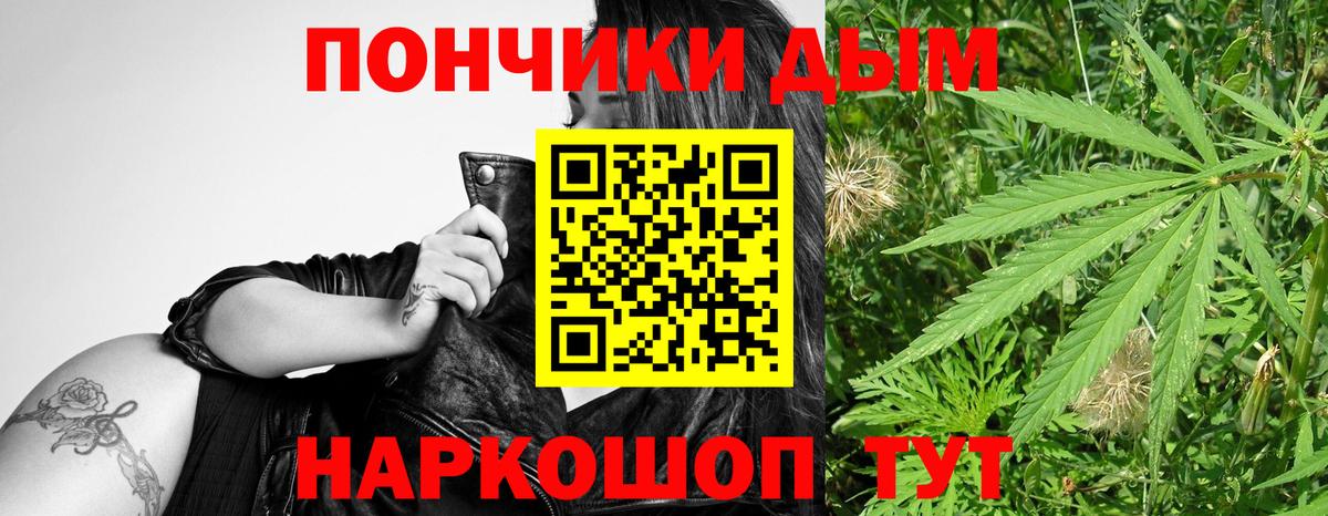 Марихуана план  Каннабис конопля  Вход с VPN  Дальнегорск  Бошки марихуана Bruce Banner 